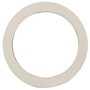 Dixon 200GPCTF TEFLON GASKET